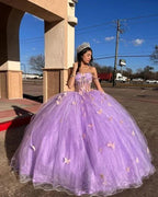 Vestido de Princesa em Tule Roxo Deslumbrante com Borboletas, Vestido de Baile, Vestido Doce 16 Y5463