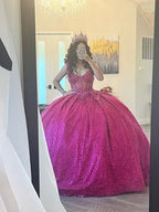 Glitter Sleeveless Quinceanera Dress Ball Gown,Sweet 16 Dress Y7405