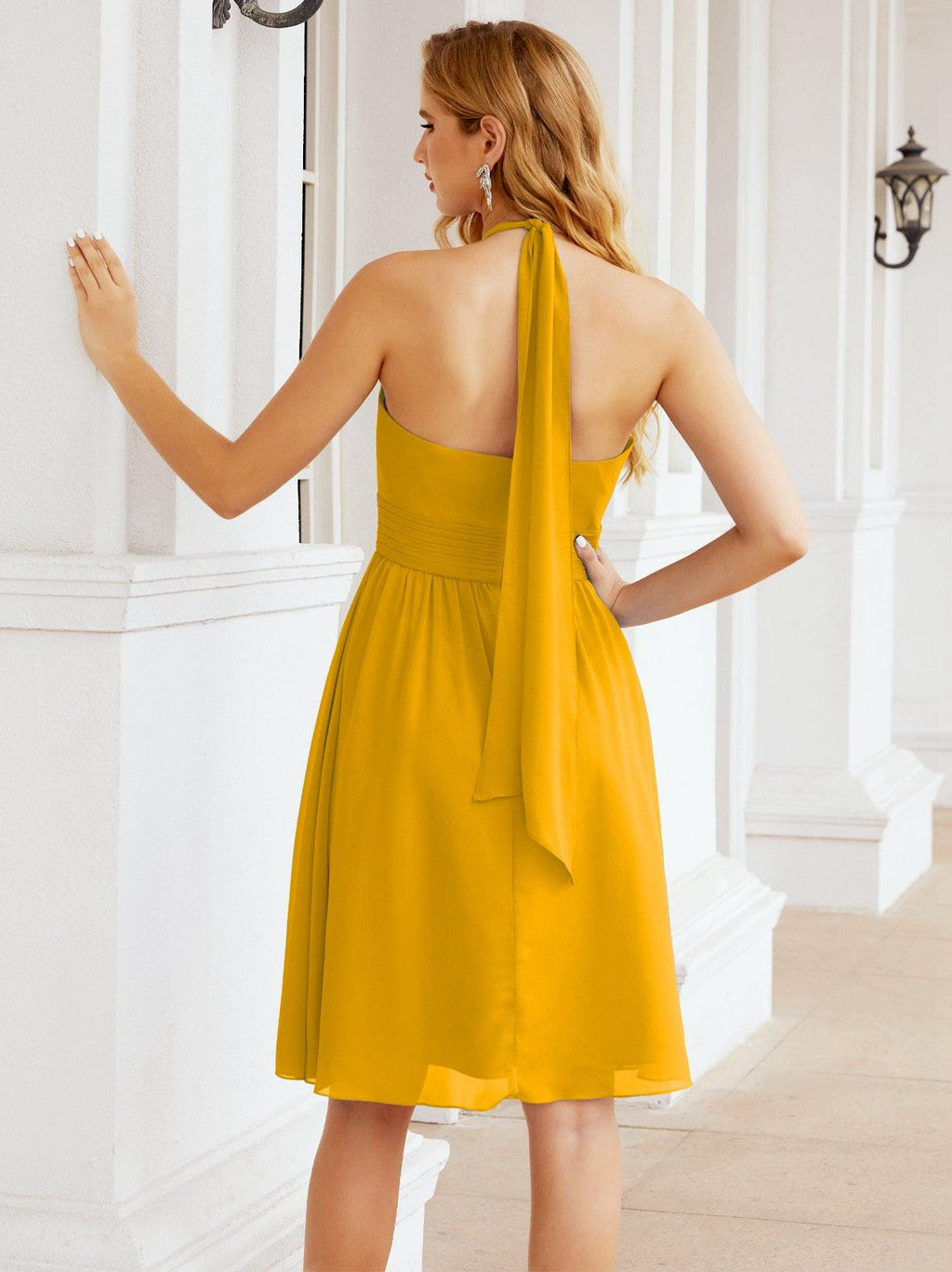 Halter Chiffon Bridesmaid Dresses Short Sleeveless Formal Party Dress Open Back 28023