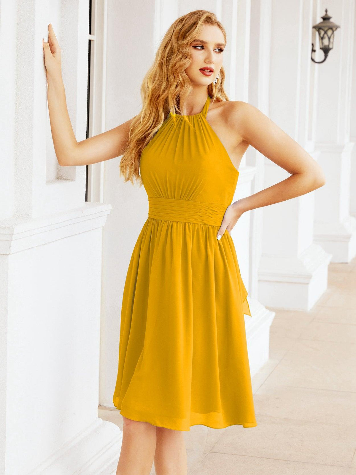 Halter Chiffon Bridesmaid Dresses Short Sleeveless Formal Party Dress Open Back 28023