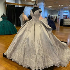 Abito lussuoso argento con scollo a barca per Quinceañera, abito da ballo argento Y1157