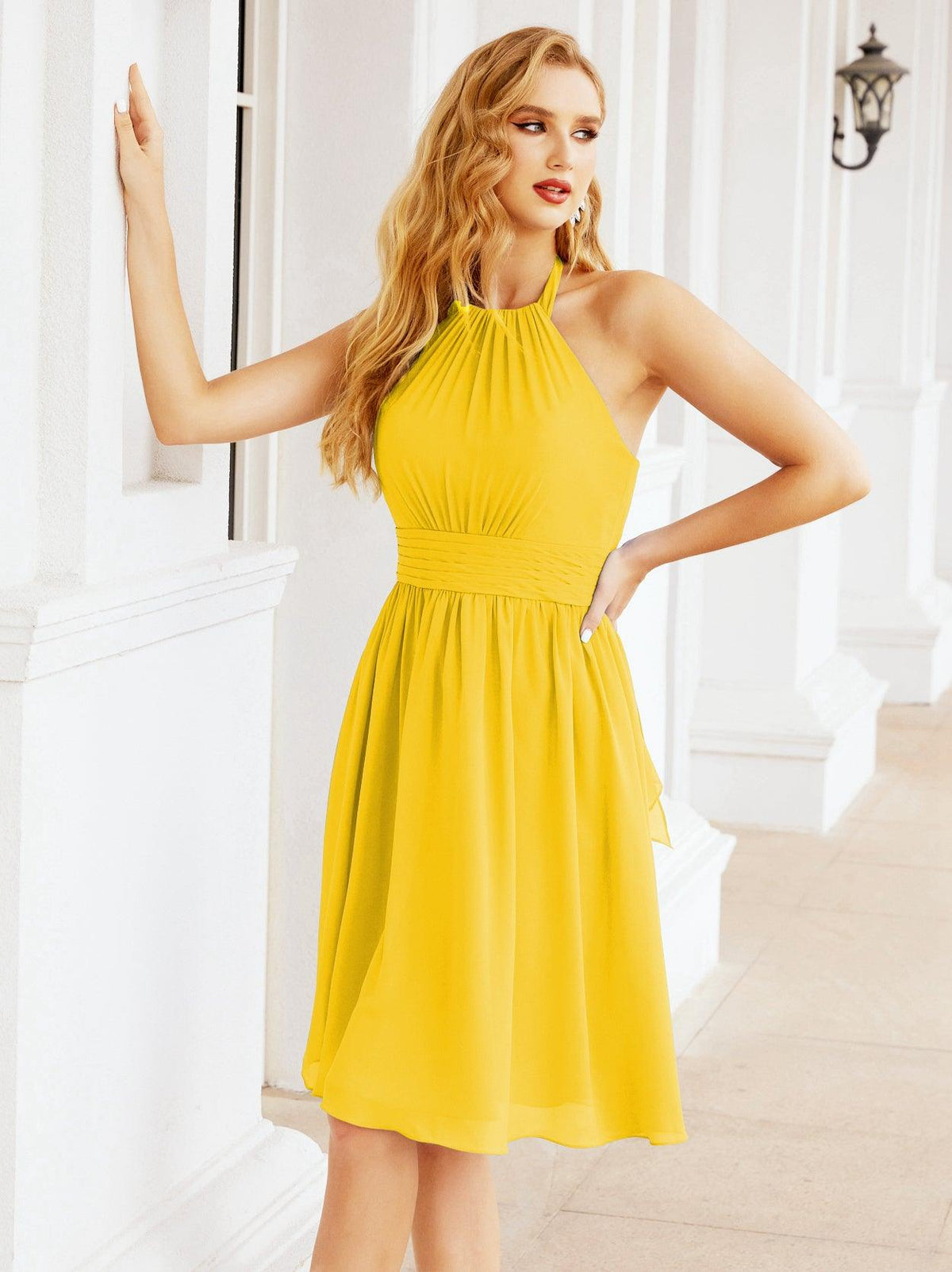 Halter Chiffon Bridesmaid Dresses Short Sleeveless Formal Party Dress Open Back 28023