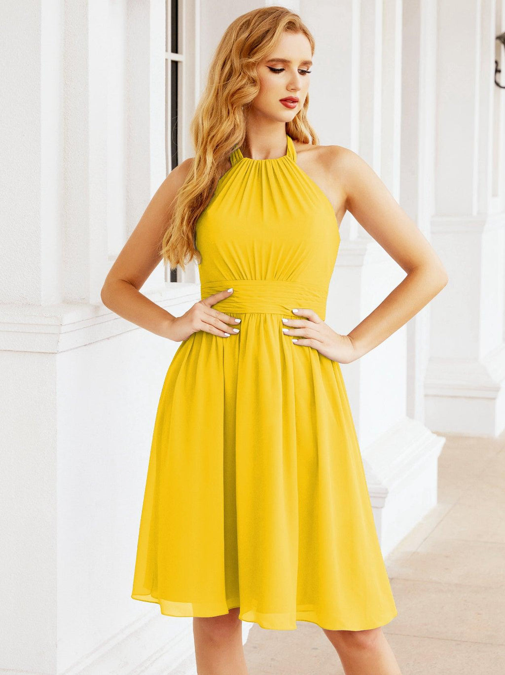 Halter Chiffon Bridesmaid Dresses Short Sleeveless Formal Party Dress Open Back 28023