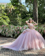 Vestido Rosa Deslumbrante para 16 Anos, Vestido de Baile Rosa com Borboletas, Vestido de Princesa em Tule Rosa Y2336