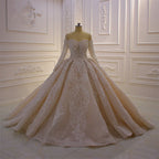 Stunning Ball Gown Wedding Dress With Off The Shoulder Sleeves And Lace Applique
