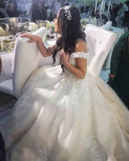 Vintage A Line Off The Shoulder Tulle Princess Long Wedding Dress Lace