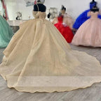 Vestido de Baile Princesa Brilhante Champagne Vestidos de Quinceanera Elegantes com Alças Apliques Vestido Doce 16 Y4150