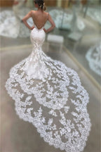 Spaghetti Straps Mermaid Backless V Neck Long Lace Wedding Dress