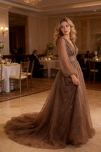 A-line V-neck Tulle Illusion Evening Dress Sheer Long Sleeves Evening Gown Y1204