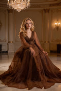 A-line V-neck Tulle Illusion Evening Dress Sheer Long Sleeves Evening Gown Y1204