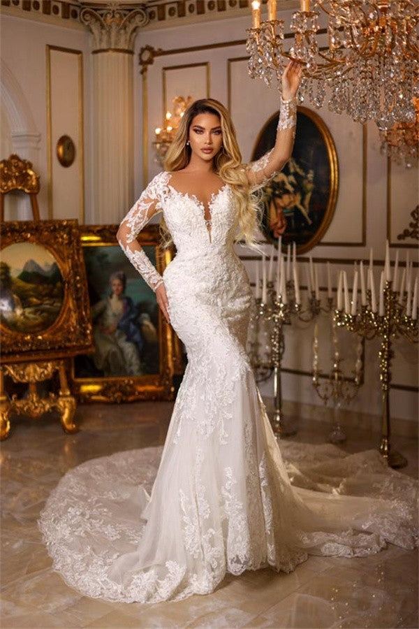Bmbridal Lace Wedding Gown Long Sleeve Mermaid Silhouette V Neck Chapel Train