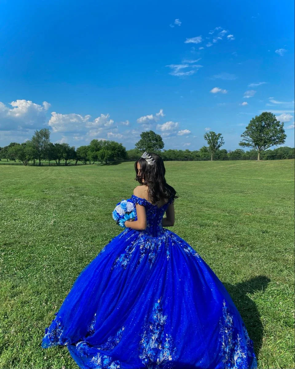 Vestidos de Baile Azul Real com Saia Rodada para Quinceanera, Flores 3D, Decote Coração, Doce 15 e 16 Anos, Vestidos para Baile de Finalistas Y2821