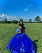Vestidos de Baile Azul Real com Saia Rodada para Quinceanera, Flores 3D, Decote Coração, Doce 15 e 16 Anos, Vestidos para Baile de Finalistas Y2821