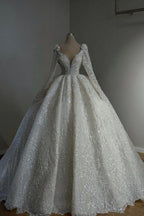 Amazing Long Princess A-line V-neck Lace Beading Wedding Dresses With Long Sleeves