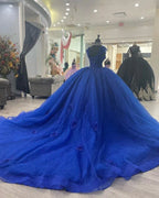 Princess Royal Blue Quinceanera Dresses Ball Gown Sweet 16 Dress Y4440