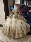 Vestidos de Manga Comprida com Brilhos Luxuosos Vestidos de Baile de Tule com Aplicações Românticas Y443