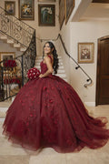 Vestido de Bola Luxuoso com Flores 3D Borgonha, Vestido Doce 16, Vestido de Quinceanera Y5320