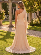 A-Line/Princess One Shoulder Chiffon Floor-Length Mother of the Bride & Groom Dresses with Lace Appliques, Sweep Train & Side Sash (SHI22501663)