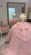 Vestido de Baile Princesa em Linha A Rosa Brilhante para Quinceanera, Vestido Doce 16 Y7770