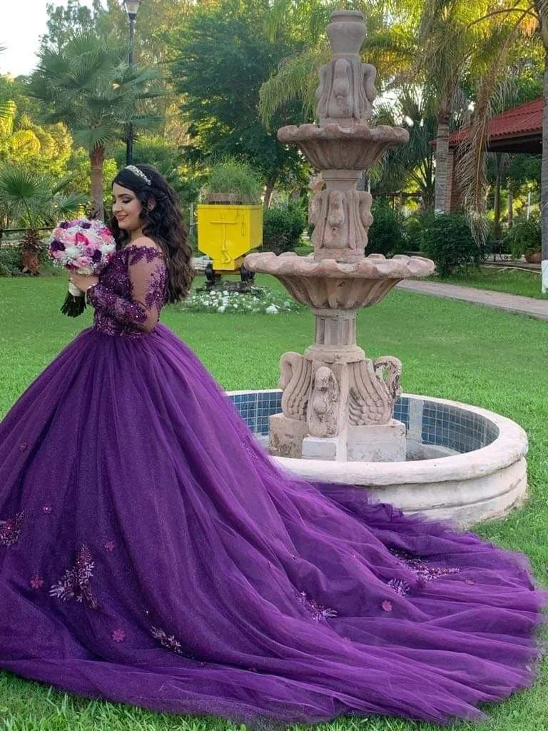 Vestidos de Manga Comprida para Quinceanera com Aplicação de Flores Vestido para Ocasião Especial Vestido de Baile Vestido Doce 16 Y4309