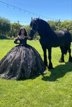 Black Off The Shoulder Ball Gown,Sweet 16 Dress,Quinceanera Dress Y5299