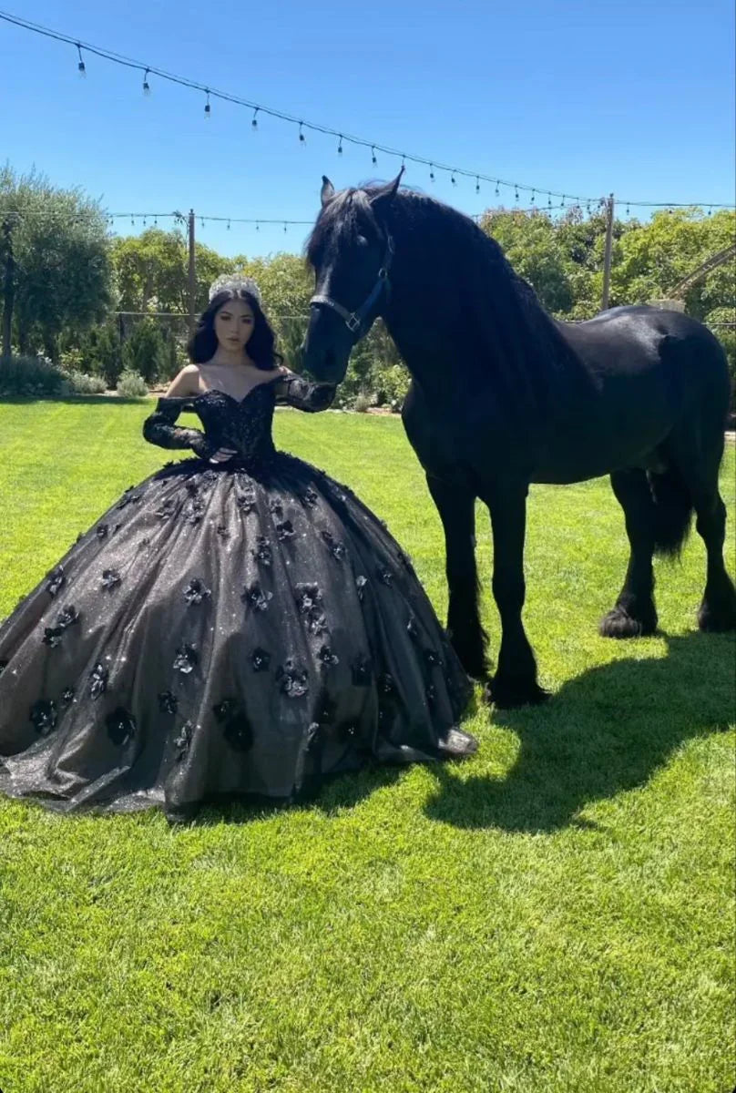 Black Off The Shoulder Ball Gown,Sweet 16 Dress,Quinceanera Dress Y5299