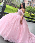 Vestido de Baile Rosa de Tule com Ombros Descobertos Vestido Doce 16 Anos Y2610