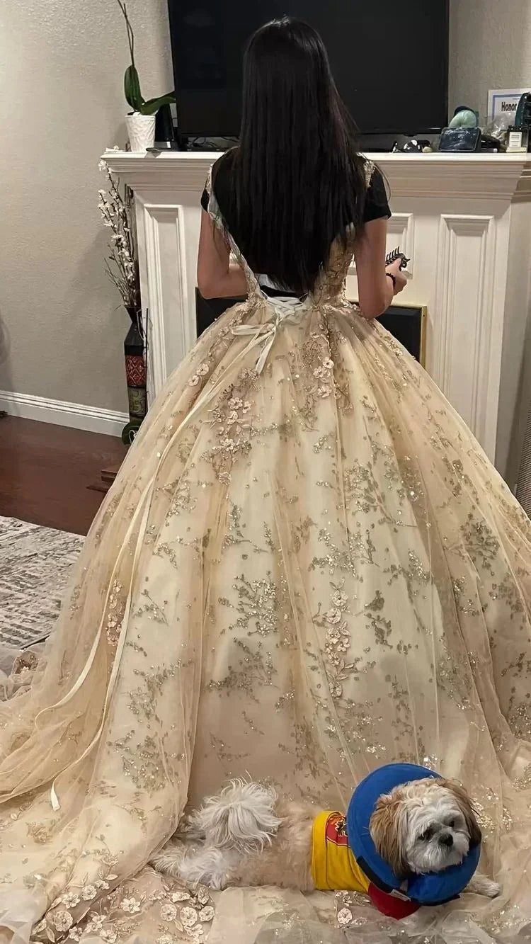 Vestido Luxuoso de Champanhe com Decote em V para Quinceanera Vestido de Princesa Vestido de Baile de Champanhe Y593