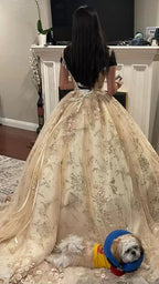 Vestido Luxuoso de Champanhe com Decote em V para Quinceanera Vestido de Princesa Vestido de Baile de Champanhe Y593