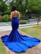 Charming Blue Spaghetti Straps V-neck Transparent lace Column Mermaid Prom Dresses