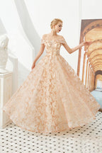 Charming Off Shoulder Aline Princess Dress Tulle Swing Evening Party Dress Quincenera Dress