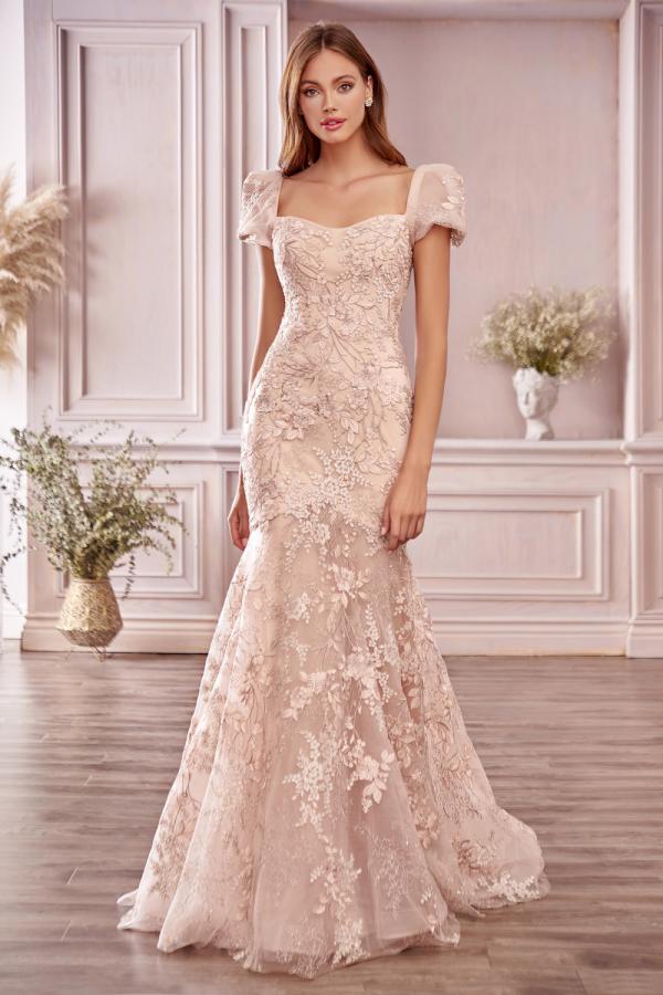 Robe de bal longue élégante sirène à décolleté cœur, dos nu, en dentelle avec manches