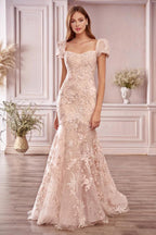 Robe de bal longue élégante sirène à décolleté cœur, dos nu, en dentelle avec manches