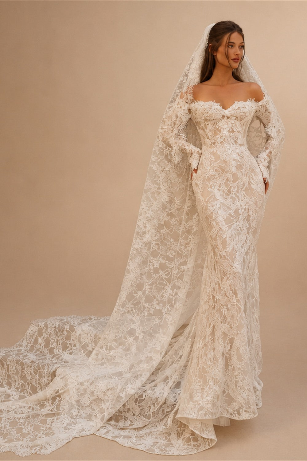 Bohemian Ivory Off-the-Shoulder Sheer Lace Mermaid Wedding Dress with Veil ZP128