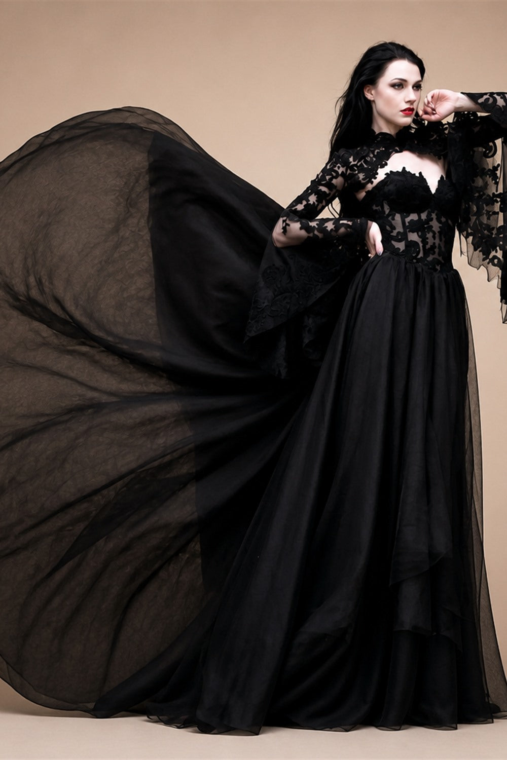 Black Luxury Gothic  Wedding Dress Sheer Lace Ball Gown  ZP029