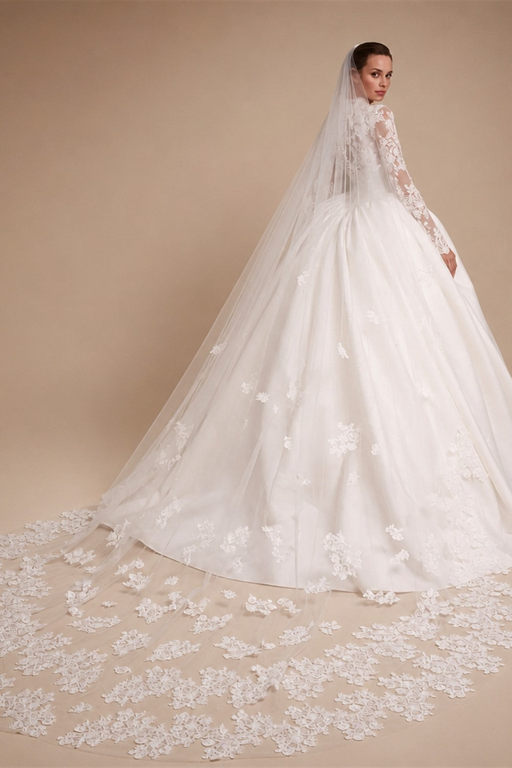 Classic Long Sleeve Lace Ball Gown Wedding Dress ZP180