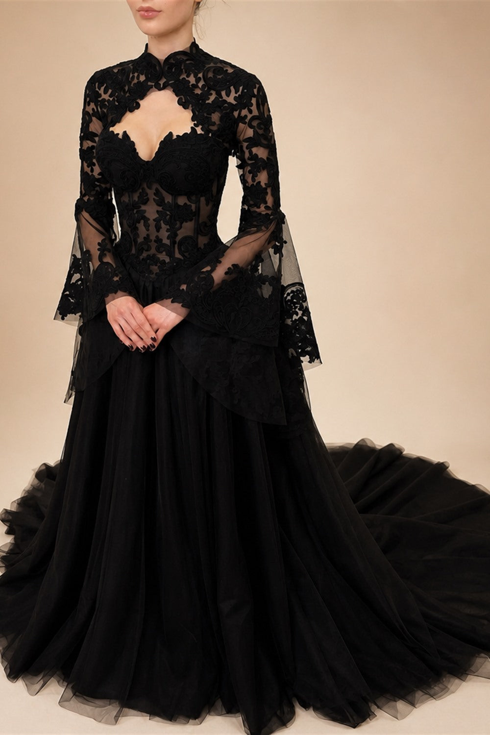 Black Luxury Gothic  Wedding Dress Sheer Lace Ball Gown  ZP029