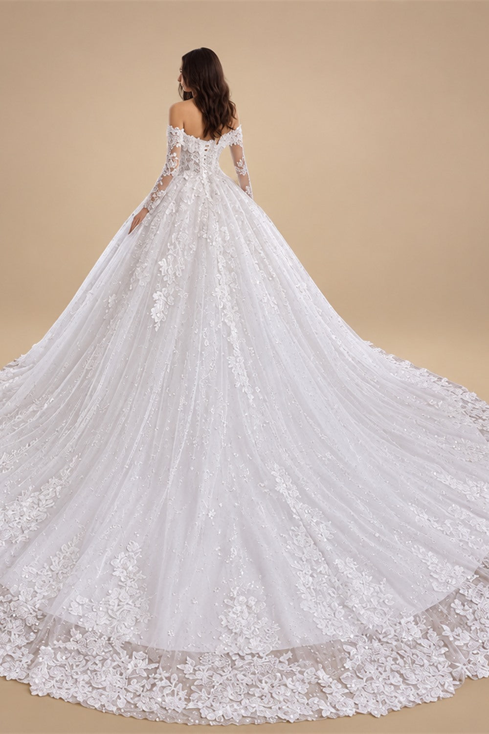 Plus Size A Line Wedding Dress Off Shoulder Lace Floral Customized