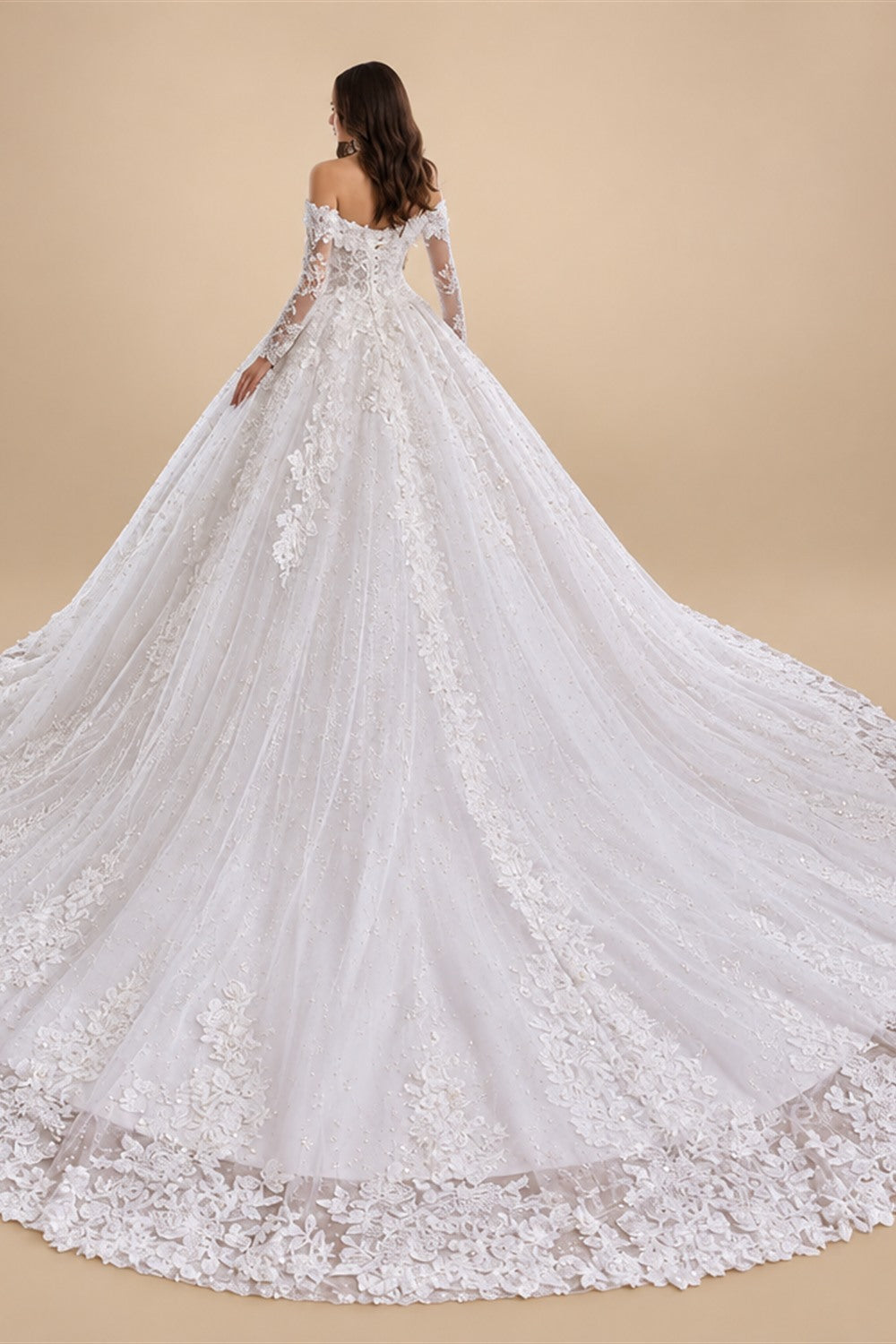 Plus Size A Line Wedding Dress Off Shoulder Lace Floral Customized