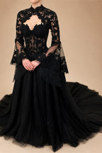 Black Luxury Gothic  Wedding Dress Sheer Lace Ball Gown  ZP029
