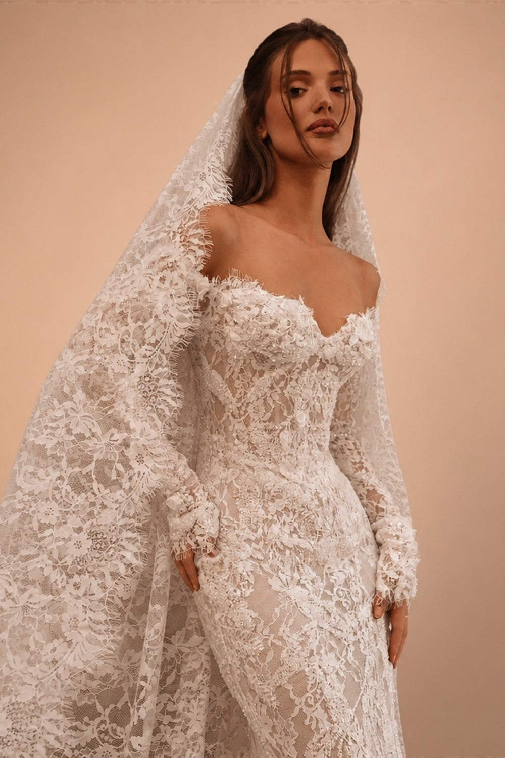 Bohemian Ivory Off-the-Shoulder Sheer Lace Mermaid Wedding Dress with Veil ZP128