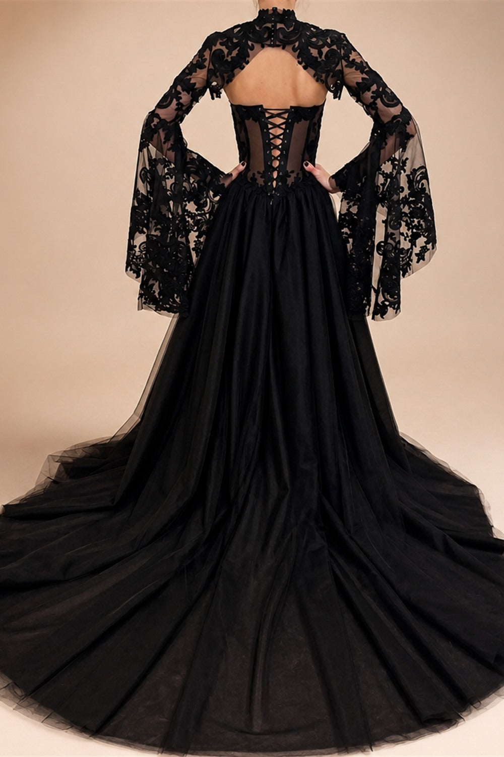Black Luxury Gothic  Wedding Dress Sheer Lace Ball Gown  ZP029