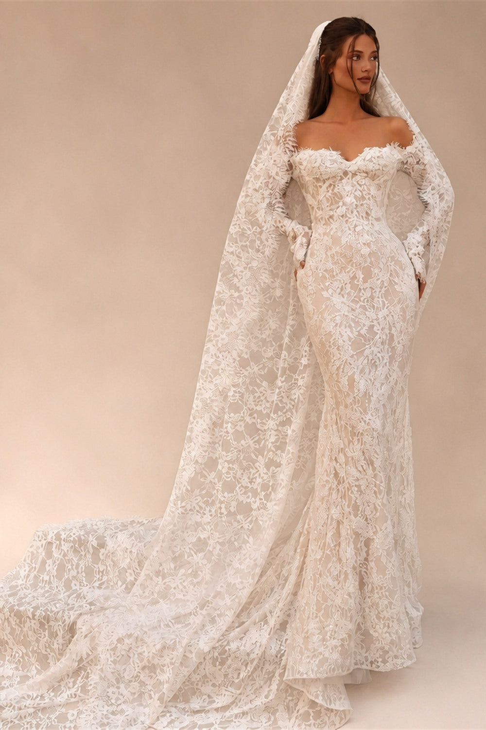 Bohemian Ivory Off-the-Shoulder Sheer Lace Mermaid Wedding Dress with Veil ZP128