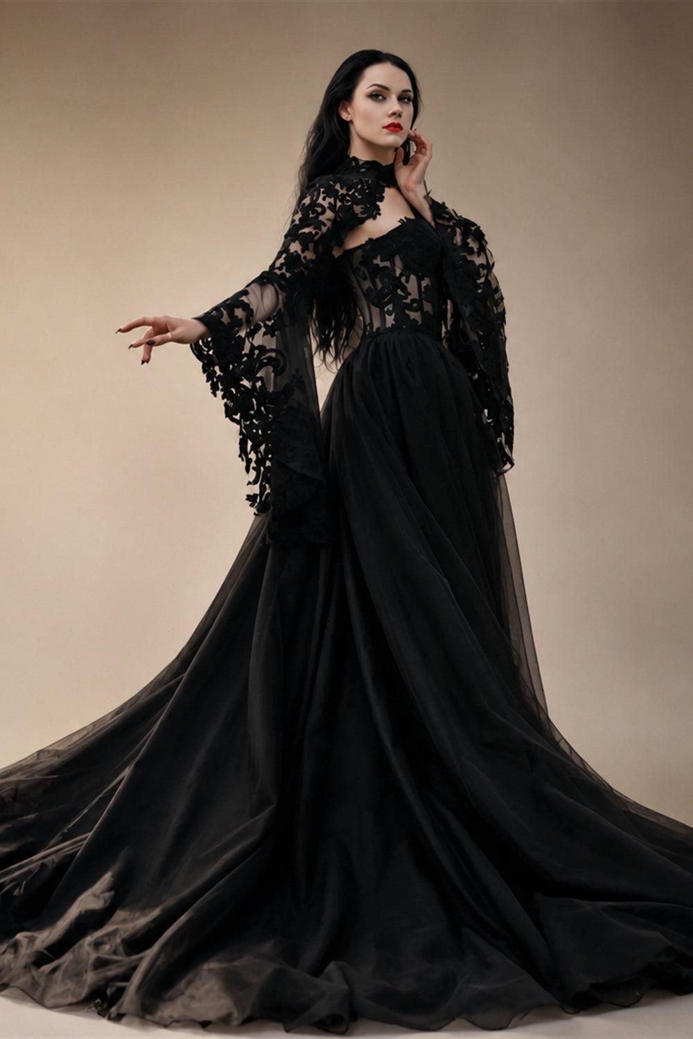 Black Luxury Gothic  Wedding Dress Sheer Lace Ball Gown  ZP029