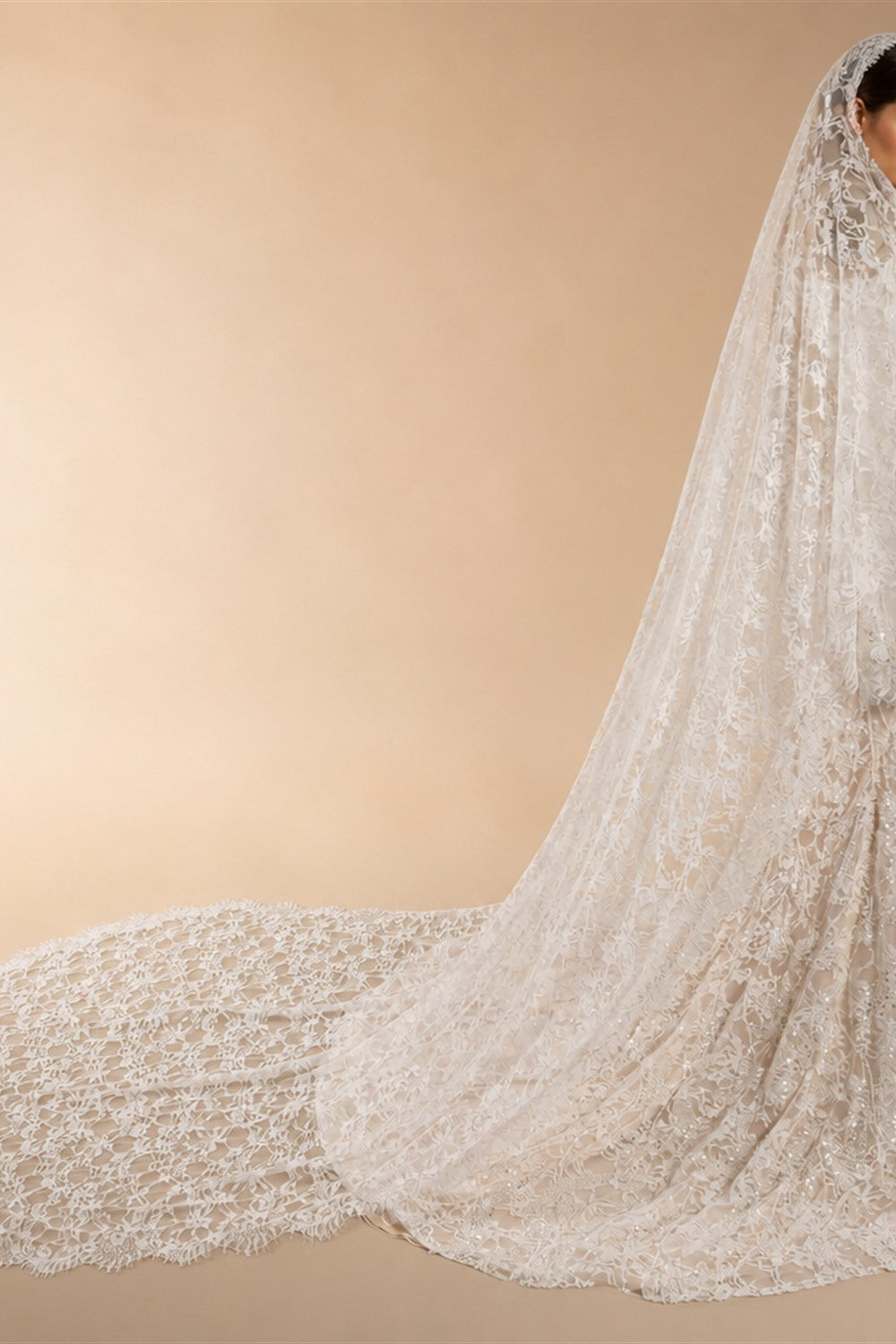 Bohemian Ivory Off-the-Shoulder Sheer Lace Mermaid Wedding Dress with Veil ZP128
