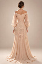 A-Line/Princess V-Neck Chiffon Maxi Mother of the Bride & Groom Dresses with Feather Trim & Pleats (SHI22501651)