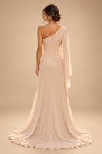 A-Line/Princess One Shoulder Chiffon Floor-Length Mother of the Bride & Groom Dresses with Lace Appliques, Sweep Train & Side Sash (SHI22501663)