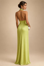 A-Line Chiffon Pleated Long Mother of the Bride & Groom Dresses with 3/4 Flutter Sleeves & Sequin Waist (SHI22500702)