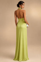 A-Line/Princess V-Neck Chiffon Maxi Mother of the Bride & Groom Dresses with Feather Trim & Pleats (SHI22501651)