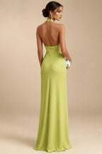 Chiffon A-Line/Princess Scoop Neck Floor-Length Mother of the Bride & Groom Dresses with Floral Embroidery (SHI22501221)